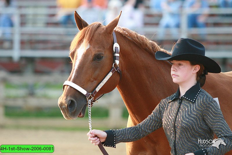 4H-1st-Show-2006-0081.jpg