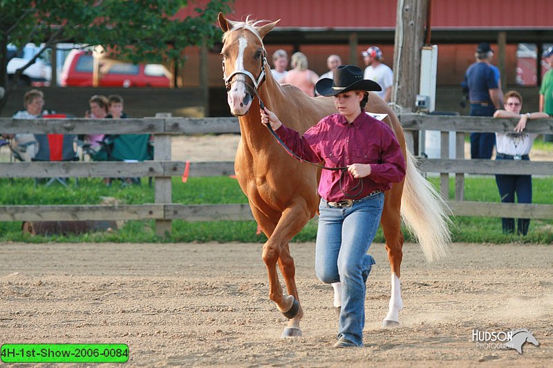 4H-1st-Show-2006-0084.jpg