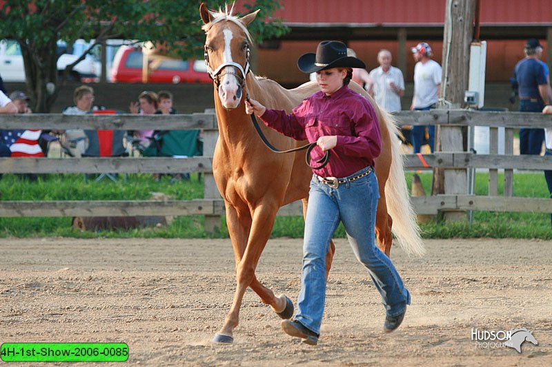 4H-1st-Show-2006-0085.jpg