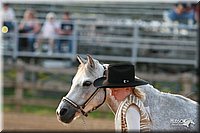 4H-1st-Show-2006-0024.jpg