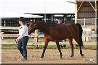 4H-1st-Show-2006-0043.jpg