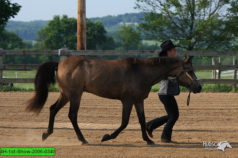 4H-1st-Show-2006-0340.jpg