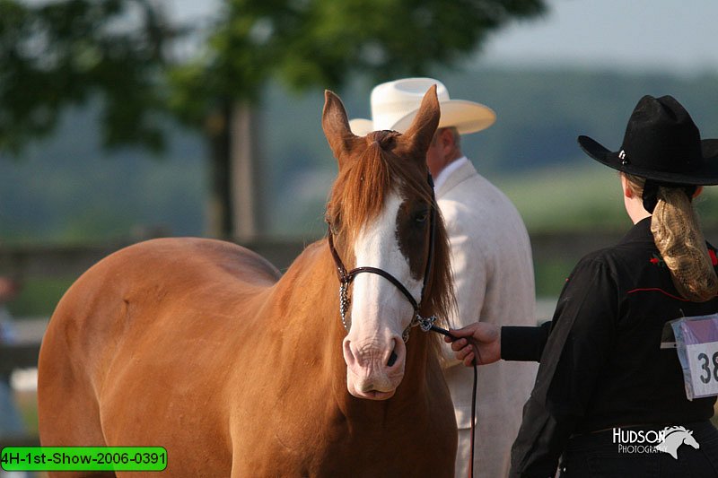 4H-1st-Show-2006-0391.jpg