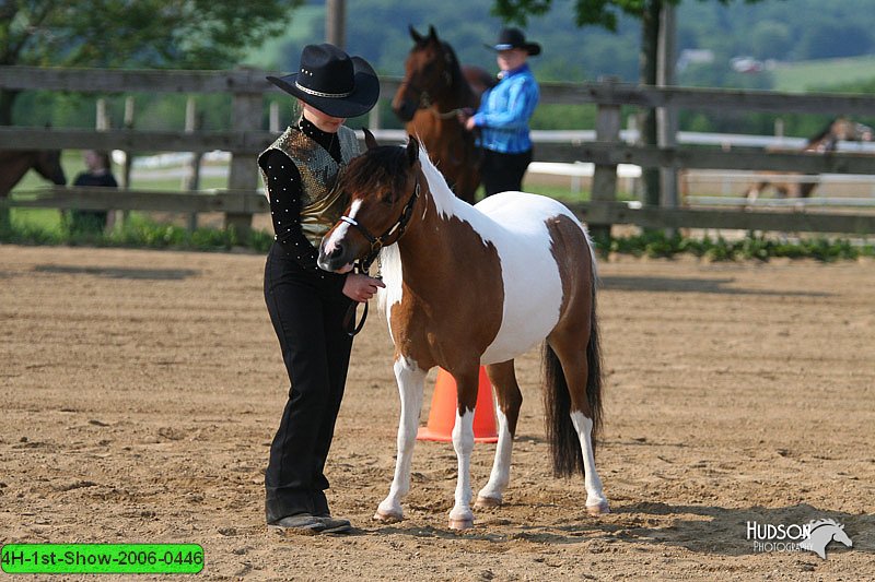 4H-1st-Show-2006-0446.jpg