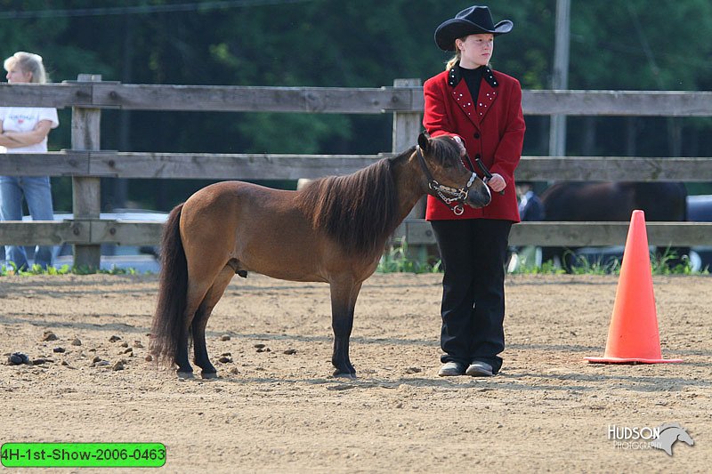 4H-1st-Show-2006-0463.jpg