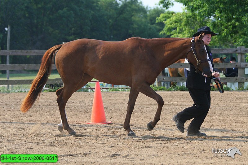 4H-1st-Show-2006-0517.jpg