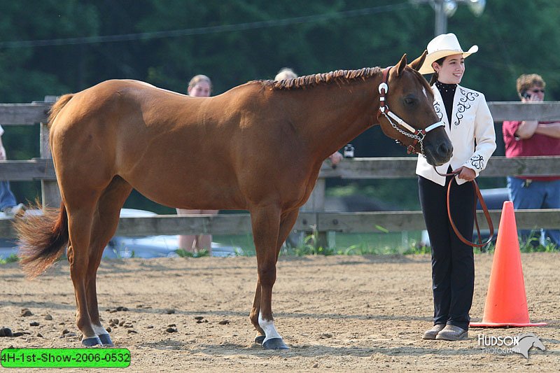 4H-1st-Show-2006-0532.jpg