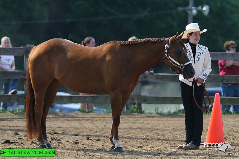 4H-1st-Show-2006-0534.jpg