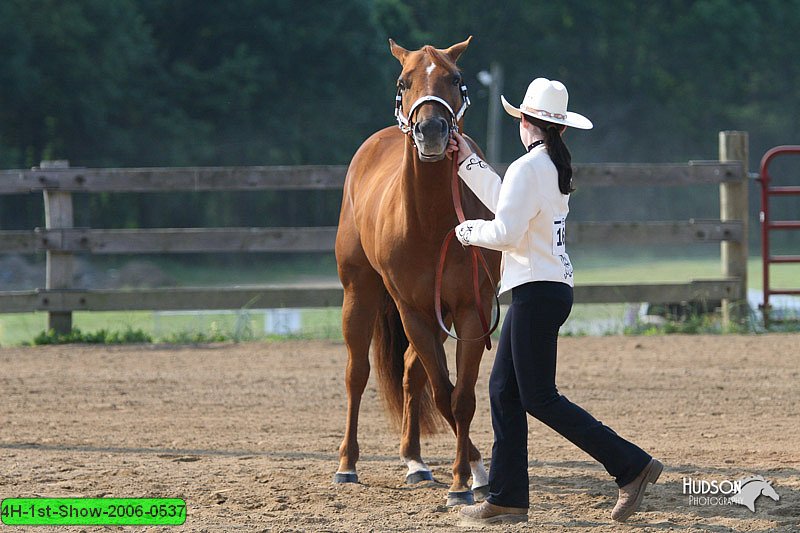 4H-1st-Show-2006-0537.jpg