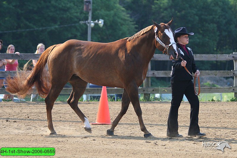 4H-1st-Show-2006-0555.jpg