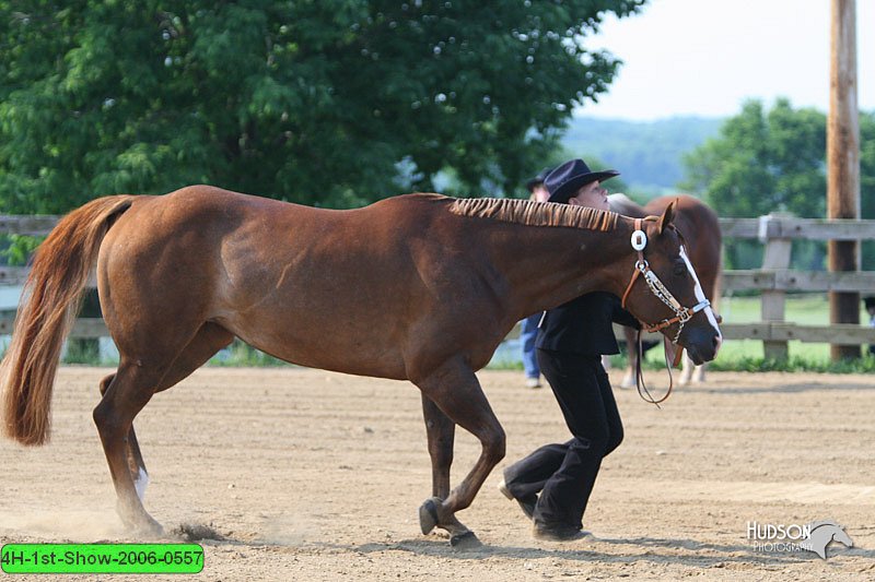 4H-1st-Show-2006-0557.jpg