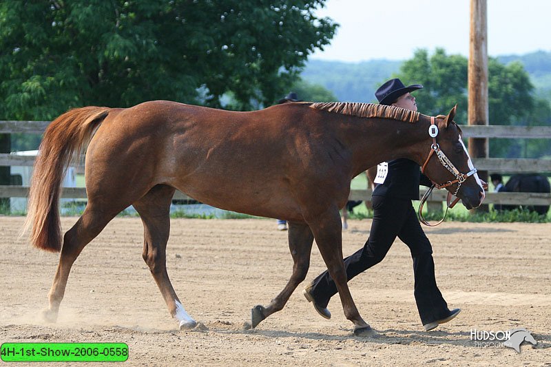 4H-1st-Show-2006-0558.jpg