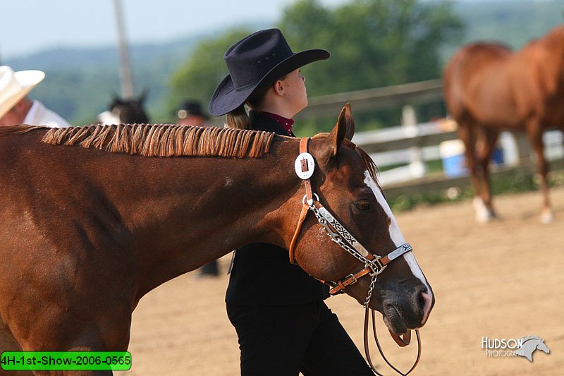 4H-1st-Show-2006-0565.jpg