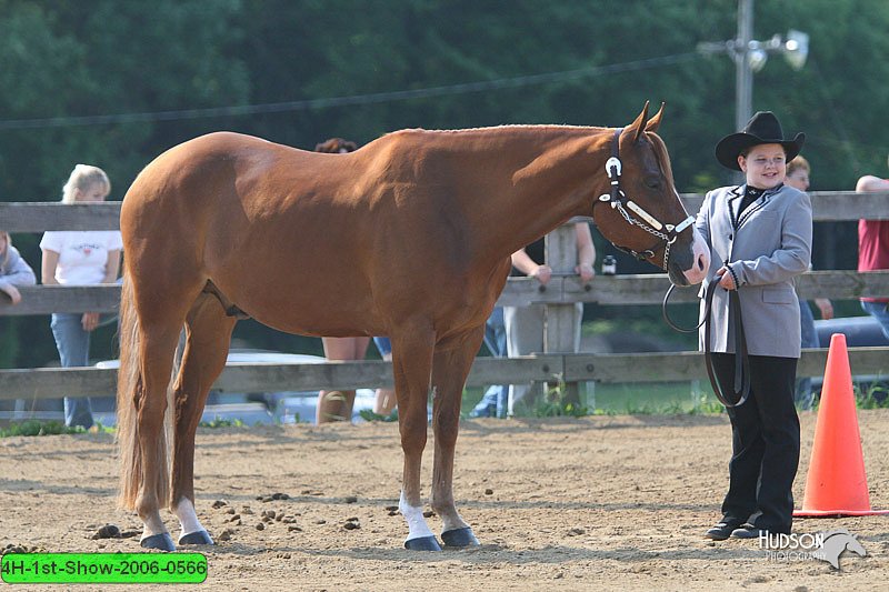 4H-1st-Show-2006-0566.jpg