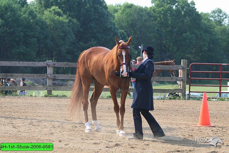 4H-1st-Show-2006-0581.jpg