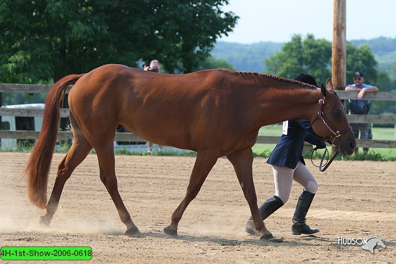 4H-1st-Show-2006-0618.jpg