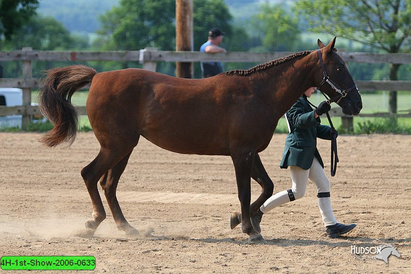 4H-1st-Show-2006-0633.jpg