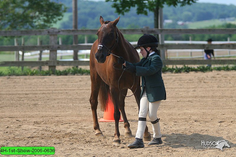 4H-1st-Show-2006-0636.jpg