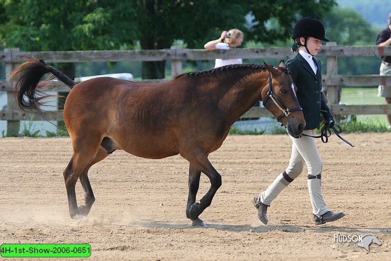 4H-1st-Show-2006-0651.jpg