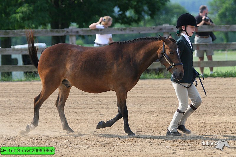 4H-1st-Show-2006-0652.jpg