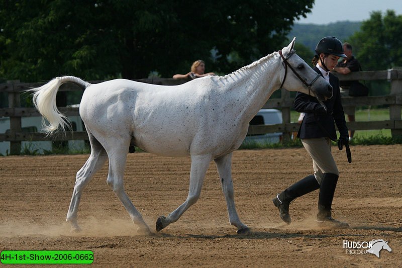 4H-1st-Show-2006-0662.jpg