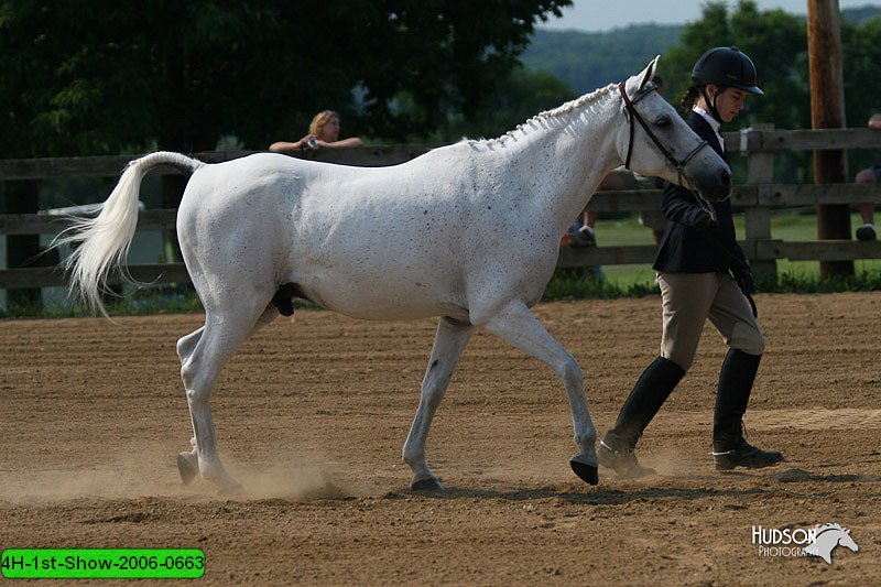 4H-1st-Show-2006-0663.jpg