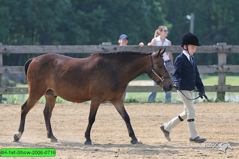 4H-1st-Show-2006-0716.jpg