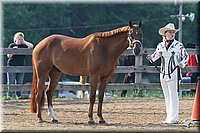 4H-1st-Show-2006-0355.jpg