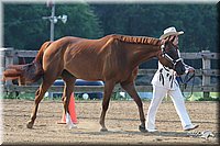 4H-1st-Show-2006-0356.jpg