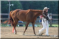 4H-1st-Show-2006-0357.jpg