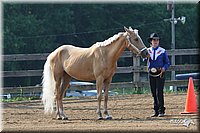 4H-1st-Show-2006-0379.jpg