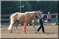 4H-1st-Show-2006-0380.jpg