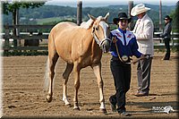 4H-1st-Show-2006-0383.jpg