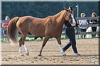 4H-1st-Show-2006-0386.jpg