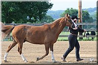 4H-1st-Show-2006-0388.jpg