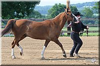 4H-1st-Show-2006-0389.jpg