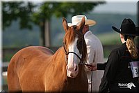 4H-1st-Show-2006-0391.jpg