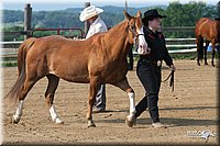 4H-1st-Show-2006-0393.jpg