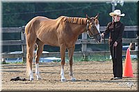 4H-1st-Show-2006-0395.jpg