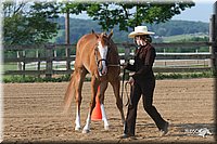 4H-1st-Show-2006-0398.jpg