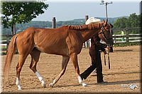 4H-1st-Show-2006-0400.jpg