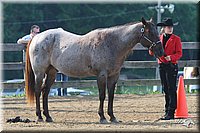 4H-1st-Show-2006-0401.jpg