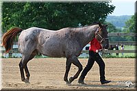 4H-1st-Show-2006-0404.jpg