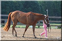 4H-1st-Show-2006-0419.jpg