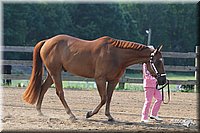 4H-1st-Show-2006-0420.jpg