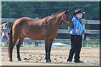 4H-1st-Show-2006-0431.jpg