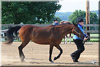 4H-1st-Show-2006-0433.jpg