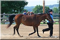 4H-1st-Show-2006-0434.jpg