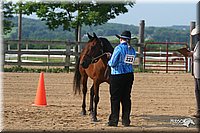 4H-1st-Show-2006-0435.jpg