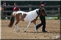 4H-1st-Show-2006-0439.jpg